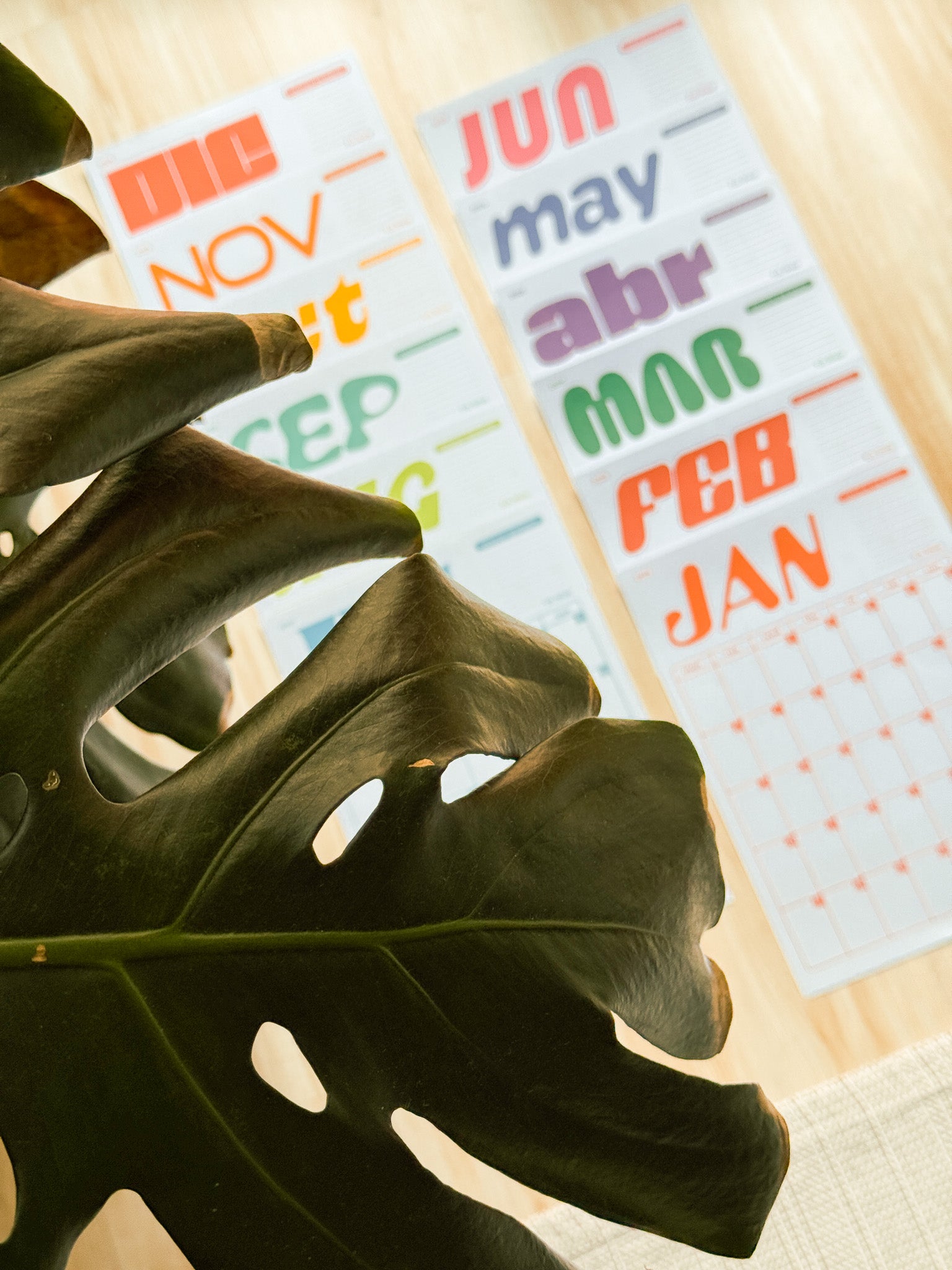 Funky 2025 Monthly Calendar (Dated)