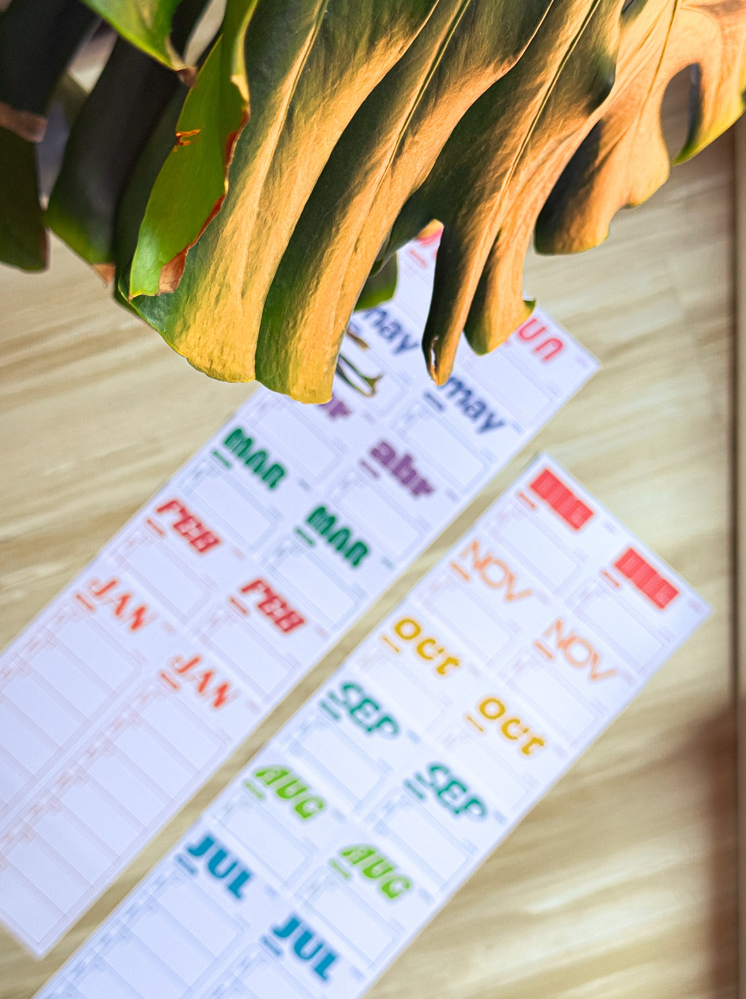 Funky 2025 Weekly Calendar (Dated&Undated)
